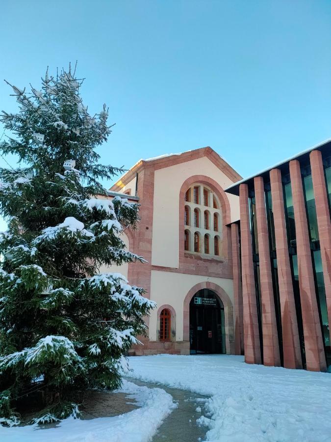 La Maison Bleue, A 20 Mn De Strasbourg, Sur La Route Des Vins, Jusqu'A 6 Personnes, Sélestat Exteriör bild