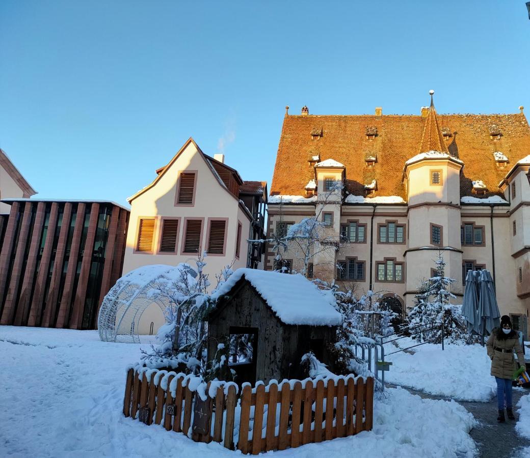 La Maison Bleue, A 20 Mn De Strasbourg, Sur La Route Des Vins, Jusqu'A 6 Personnes, Sélestat Exteriör bild