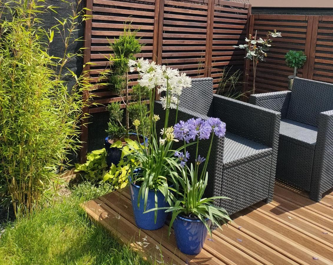 La Maison Bleue, A 20 Mn De Strasbourg, Sur La Route Des Vins, Jusqu'A 6 Personnes, Sélestat Exteriör bild