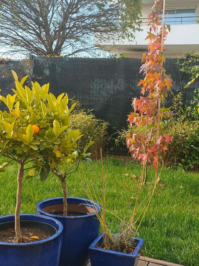 La Maison Bleue, A 20 Mn De Strasbourg, Sur La Route Des Vins, Jusqu'A 6 Personnes, Sélestat Exteriör bild